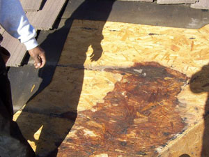 Roof Sheathing Water Damage