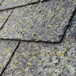 gallery-1440189005-moss-on-roof