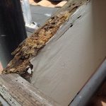 termite roof damage, termite damage roof repair, termite roof repair, fascia board damage, roof leak, roof tile